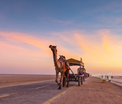 Ahmedabad, Travel, Amazing Gujarat 5 Nights 6 Days 23000/-