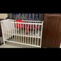 SAR 100,  Baby Cart Crib