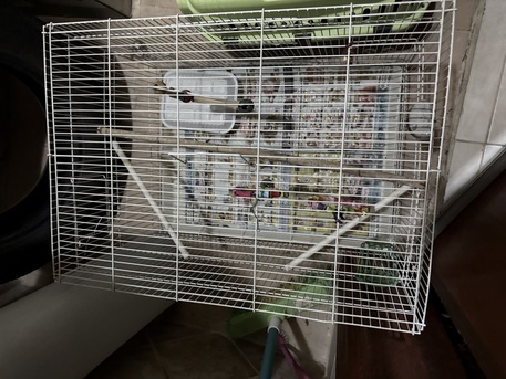 Dammam, Pet Supplies, SAR 50,  Big Bird Cage