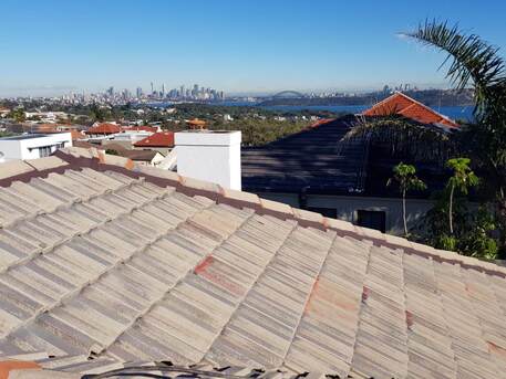 Sydney, Business, Burwood Roof Painting | Mr Roofer