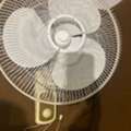 SAR 85,  Ceiling Fan Good Condition  -85