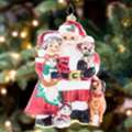 USD 106,  Buy Luxury Christopher Radko Santa Ornaments For Home Decor In USA &ndash; A Coastal Christmas