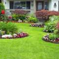 Landscaping Services Northern Beaches | Northern Beaches Garden & Trees