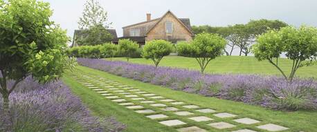 Sydney, Business, Landscaping Services Northern Beaches | Northern Beaches Garden & Trees