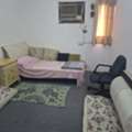 SAR 650/month,  Separate Room For One Person