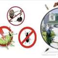 Pest Control Services Is One Of The Main Requirements For Every Household, (0503175078)