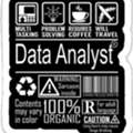 Data Analyst