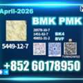 USD 170,  5449-12-7 New B.MK Ready For Immediate Dispatch