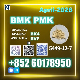 Phnom Penh, Materials, USD 170,  New B.MK CAS 5449-12-7 Direct Supply