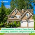 Understanding Property Taxes Due In Texas: Key Deadlines & Payment Insights