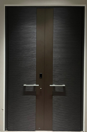 New Delhi, Furniture, Elevate Spaces With Premium Pivot Door Designs