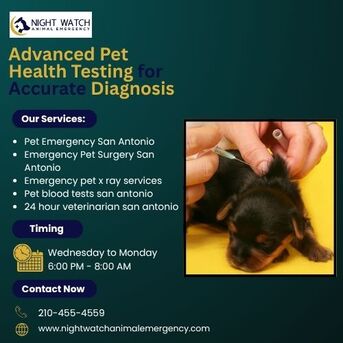 New York, Health, Advanced Pet Health Testing For Accurate Diagnosis