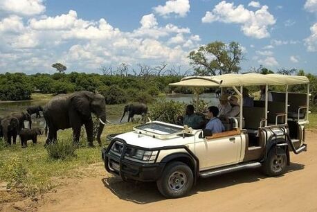 Cape Town, Travel, A Safari Escape In Just One Day With A Chobe Day Trip From Victoria Falls