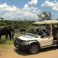 A Safari Escape In Just One Day With A Chobe Day Trip From Victoria Falls