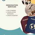 IMMIGRATION SERVICES