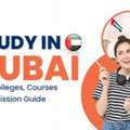 Study Abroad Consultant In Dubai Experts