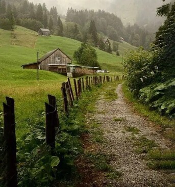 New York, General, Genealogy Research | Explore Georgia Pioneers Records