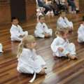 Affordable Taekwondo Lessons Near Me For All Ages