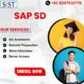 Shresta Trainings- SAP SD Training Institute In Hyderabad,US,UK,Canada,Dubai,Germany