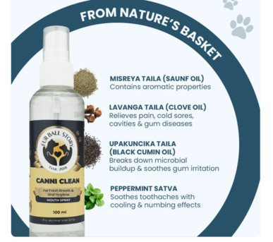 Gurgaon, Pet Sitting, You Didn&rsquo;t Notice It&hellip; But You Felt It