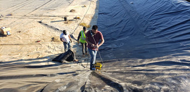New York, Business, Litter Fence For Landfills US