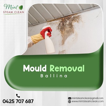 Sydney, Cleaning, Protect Your Health: Safe & Effective Mould Removal Ballina