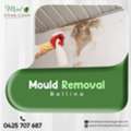 Protect Your Health: Safe & Effective Mould Removal Ballina
