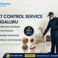 Premium Pest Control Service In Bengaluru By LocalRamu