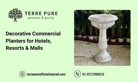 Greater Noida, Wholesale Products, Decorative Commercial Planters For Hotels, Resorts & Malls