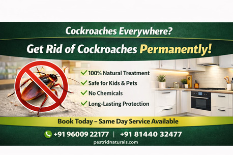 Chennai, Pest Control, Cockroach Control In Chennai | Pest Rid Naturals