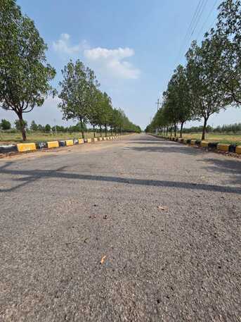 Mumbai, Residential Plots, INR 12500,  192 Sq. Yard,  Pharma Green City &ndash; DTCP & RERA Approved Open Plots