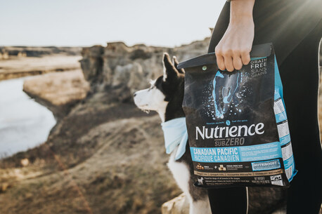 Mumbai, Pet Supplies, Better Coat Starts With The Right Dog Food