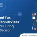 Virtual Tax Preparation Services For Peak Tax Season Support
