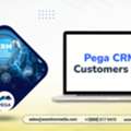 Grab  Our Premium Pega CRM Customers List Marketing Data For Your Campaigns