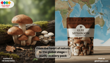 Mumbai, General, Trusted Mushroom Exporter In India &ndash; Glee Impex Global Supply
