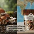Trusted Mushroom Exporter In India &ndash; Glee Impex Global Supply