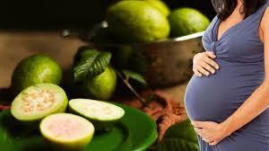 New Delhi, Health, Is Guava Good For Pregnancy? Benefits, Safety & Best Time To Eat