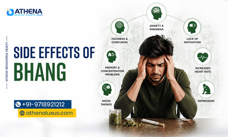 New Delhi, Health, Side Effects Of Bhang You Should Know Today