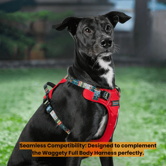 Pune, Pet Supplies, INR 1249,  Comfortable Dog Body Harness By Waggety For Daily Walks