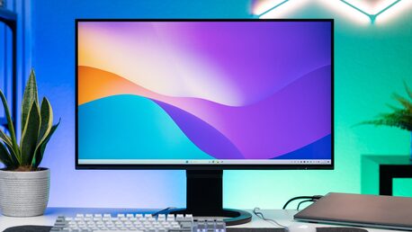 Riyadh, Job Seekers, Coordinator & Office Translator I Open To Work