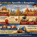 Certificate Apostille In Bangalore