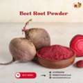 ZAR 01,  Best Quality Beet Root Powder &ndash; Wholesale Prices Available