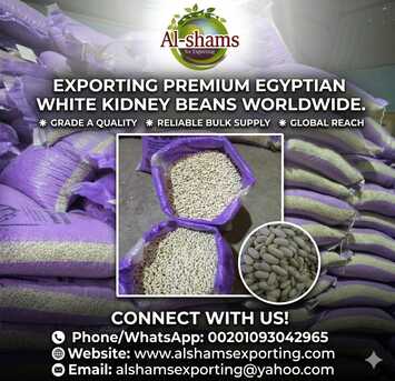 Paris, Farm & Garden, WHITE BEANS