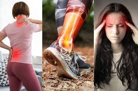 Gurugram, Businesses For Sale, Effective Meniscus Injury Physiotherapy For Knee Pain Recovery & Mobility