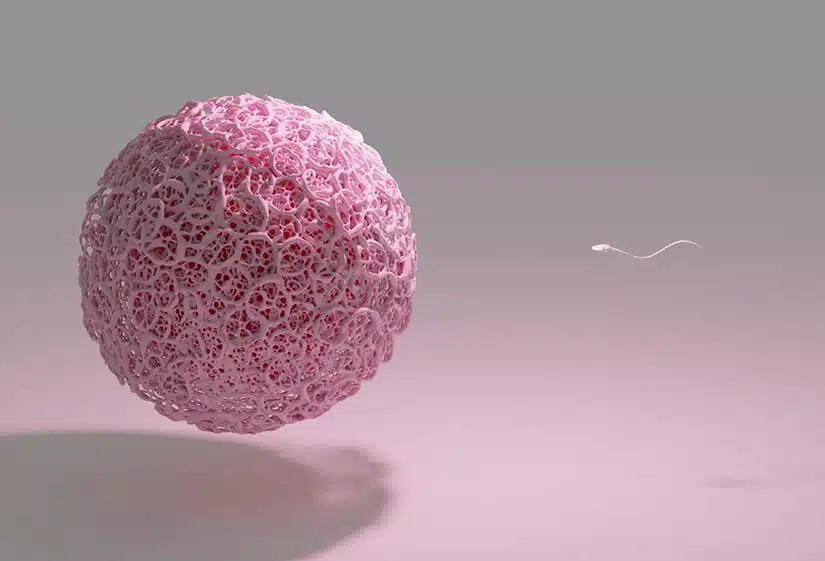 New Delhi, Health, Egg Quality Explained: Can It Improve Before Treatment?