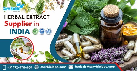 Mumbai, Health & Beauty Items, Trusted Herbal Extract Supplier In India For Nutraceutical Industry