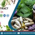 Trusted Herbal Extract Supplier In India For Nutraceutical Industry
