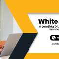 White Globe Web - A Leading Digital Marketing And Web Development Company