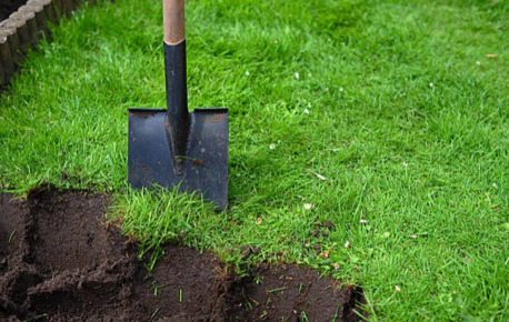 Sydney, Farm/Garden, Professional Turf Installation & Ground Preparation | Ace Landscapes Sydney