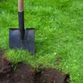 Professional Turf Installation & Ground Preparation | Ace Landscapes Sydney